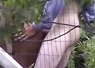 Thirsty zoophile finds an animal to fuck