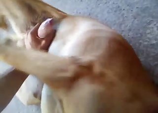 動物園での情熱的なフィスティングのビデオ