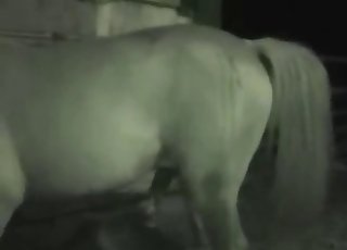 Farmer got hardly banged by big stallion