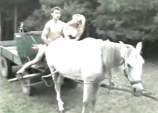 That horse gets fucked instead of carrying