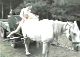 That horse gets fucked instead of carrying