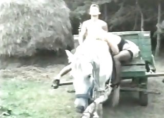 That horse gets fucked instead of carrying
