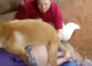 Dog asserting its dominance on camera