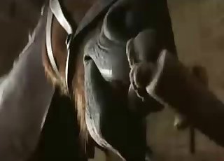 Sexy stallion in amazing bestiality XXX action