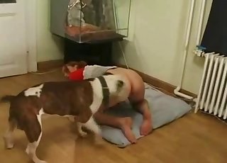Fat booty beauty is about to fuck a dog