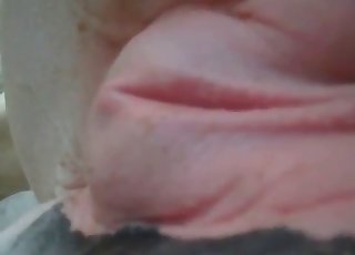 Amazing fisting for horse's hot pussy