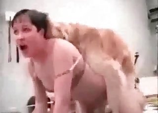 Dog fucking its owner vaginally