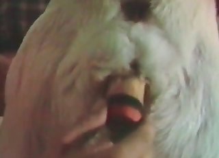 Burada o mükemmel amın parmaklarını kullanıyorum