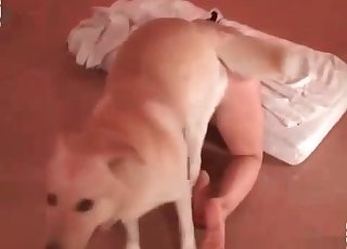 Zoophile chick fucks a dirty dog