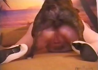 Close-up action with a female zoophile