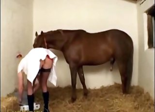Female is enjoying her trained horse