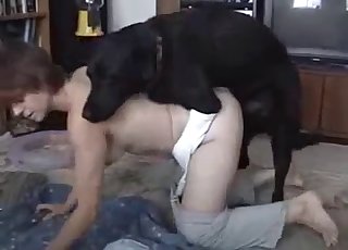 Trained black beagle fucks insanely fast