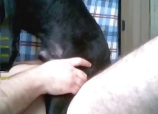 Doggy sucking his dick with passion