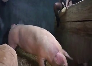 Masked blonde is playing with a huge pig