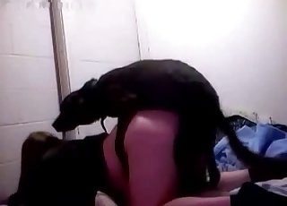 Sexy black dog drills her wet hole