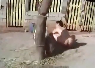 Young girl is masturbating a small horse cock