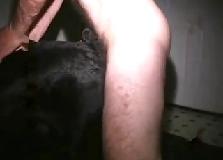 کالا کتا زوفائل نر کے ذریعے گدھے میں جکڑا ہوا ہے۔