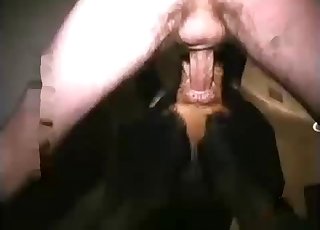 恋兽癖男子将黑狗插入肛门