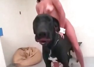 Dog fucking a hot human