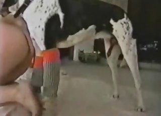 素人との印象的な獣姦