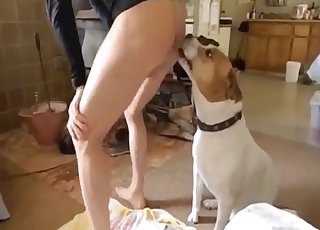 Afslappet forførelse af en sexet hund