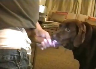 Dude fucking this slutty-ass doggy