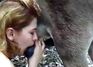 Sensual oral sex with a nice-looking animal