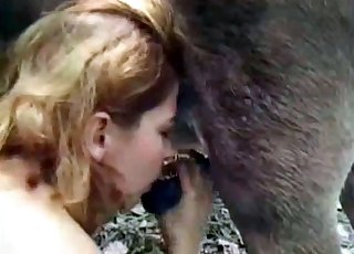Sensual oral sex with a nice-looking animal