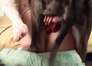 Tasty pussy licked by a horny dog