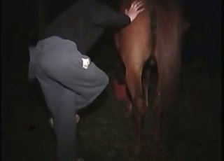 Nice horse gets licked on camera