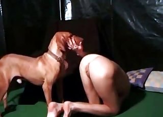 Juicy pussy serviced by an UK dog