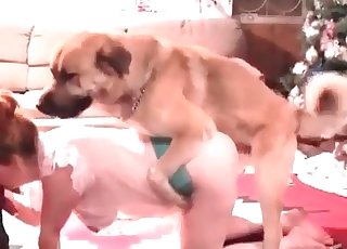 Playful chick sucking her doggy with passion