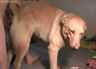Nasty bestiality sex with a British doggy