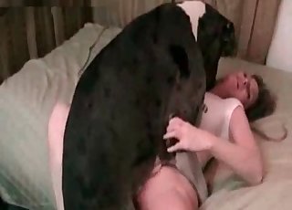 Her pussy fucked by a big dog