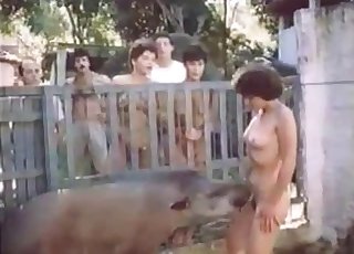 Exotic animal in an erotic zoo video