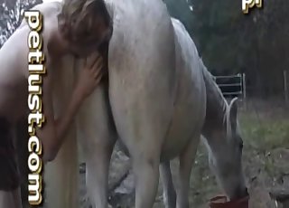 The dude sticks his hard penis in the pussy of a horse