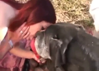 Zoo XXX scene with somewhat public dog fucking
