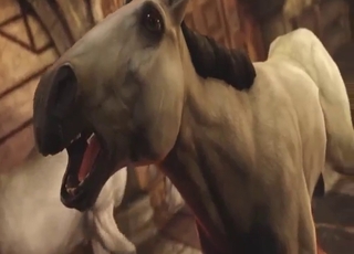 Zoo porn footjob with a dark-haired girl tasing