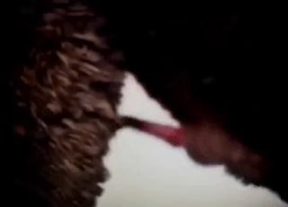 Sheep porn with a sexy beast taking hard dick