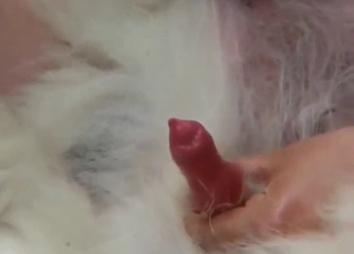 人兽交，伴有大量口交，疯狂的性高潮