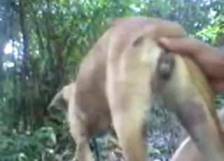 Crazy hot zoophilic experience with a sexy dog