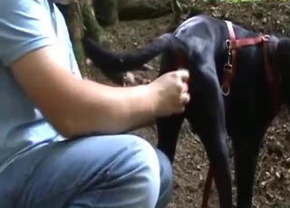 Anal-crazed dude is happy to finger his dog