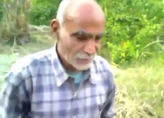 Aging zoophile fucking a donkey's wet pussy