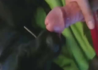Bestiality porn shows a guy who blows a big load