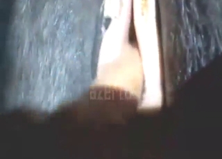 He is always ready to fuck that black beast