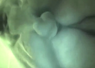 For naughty dog like that, it's a great experience