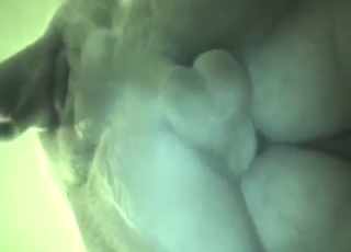 For naughty dog like that, it's a great experience