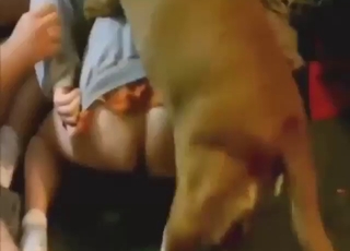 Gorgeous animal is going to fuck round-assed dude