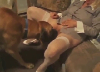 MILF bionda con calze bianche scopa un cane marrone