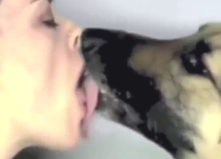 Beast-loving babes are going to go wild with dogs